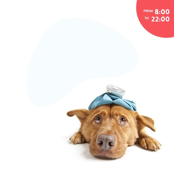 YOUR PET SICK ?